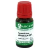 Arcana A-Arsenicum album LM 12 Dilution, 10 ml