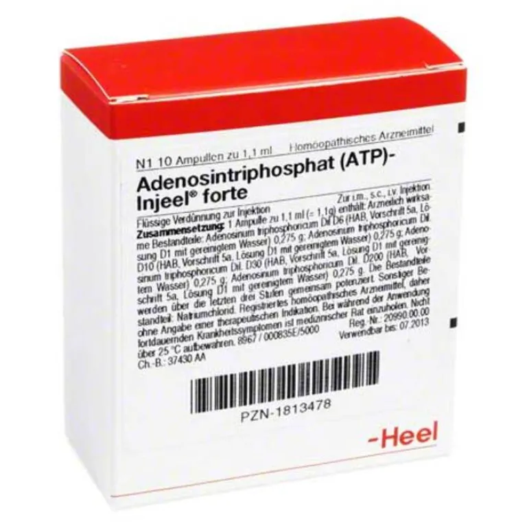 Injeel Heel-Atp forte Ampullen, 10 St