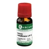 Arcana A-B|A-Aurum metallicum LM 6 Dilution, 10 ml