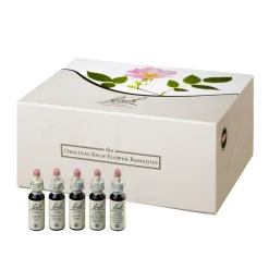 Original Bachblüten Bachblütentropfen-Bachblüten 10 ml Set Tropfen, 400 ml