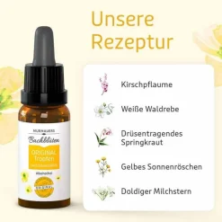 Murnauers Bachblütentropfen-Bachblüten Murnauer Original Tropfen ohne Alkohol, 20 ml