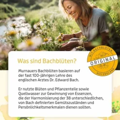 Murnauers Bachblütentropfen-Bachblüten Murnauer Original Tropfen nach Dr. Bach, 10 ml