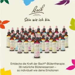 Original Bachblüten Bachblütentropfen-Bachblüten Nr. 4 Centaury Tropfen, 20 ml