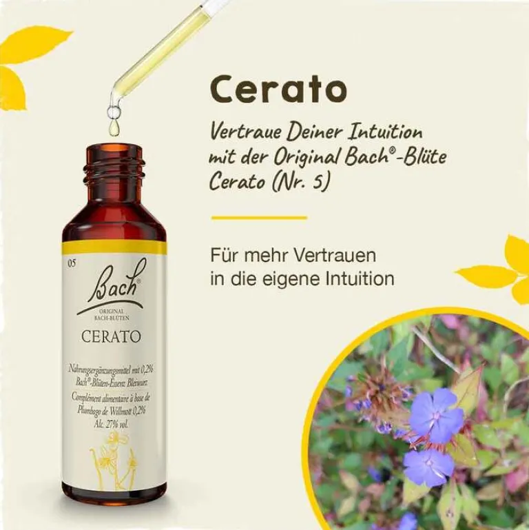 Original Bachblüten Bachblütentropfen-Bachblüten Nr. 5 Cerato Tropfen, 20 ml