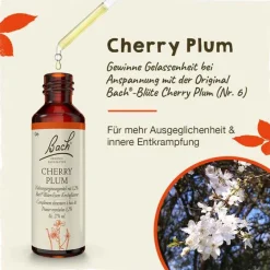 Original Bachblüten Bachblütentropfen-Bachblüten Nr. 6 Cherry Plum Tropfen, 20 ml