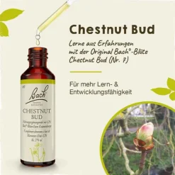 Original Bachblüten Bachblütentropfen-Bachblüten Nr. 7 Chestnut Bud Tropfen, 20 ml