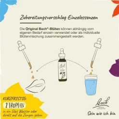 Original Bachblüten Bachblütentropfen-Bachblüten Nr. 10 Crab Apple Tropfen, 20 ml