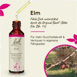 Original Bachblüten Bachblütentropfen-Bachblüten Nr. 11 Elm Tropfen, 20 ml