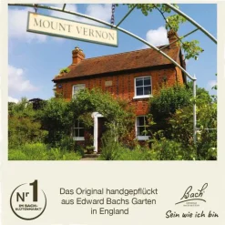 Original Bachblüten Bachblütentropfen-Bachblüten Nr. 11 Elm Tropfen, 20 ml