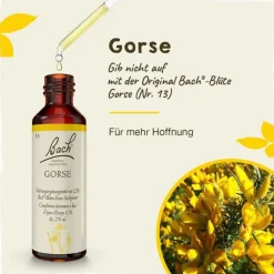 Original Bachblüten Bachblütentropfen-Bachblüten Nr. 13 Gorse Tropfen, 20 ml