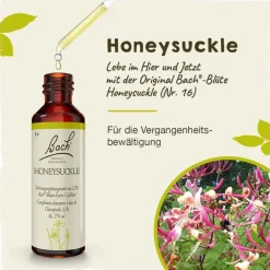 Original Bachblüten Bachblütentropfen-Bachblüten Nr. 16 Honeysuckle Tropfen, 20 ml