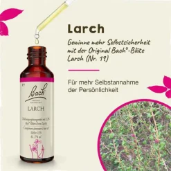 Original Bachblüten Bachblütentropfen-Bachblüten Nr. 19 Larch Tropfen, 20 ml