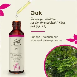 Original Bachblüten Bachblütentropfen-Bachblüten Nr. 22 Oak Tropfen, 20 ml