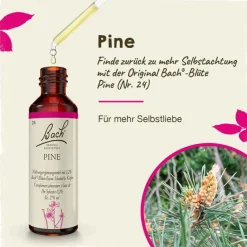 Original Bachblüten Bachblütentropfen-Bachblüten Nr. 24 Pine Tropfen, 20 ml