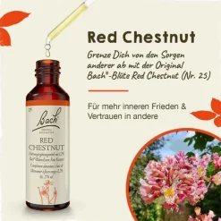 Original Bachblüten Bachblütentropfen-Bachblüten Nr. 25 Red Chestnut Tropfen, 20 ml