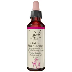 Original Bachblüten Bachblütentropfen-Bachblüten Nr. 29 Star of Bethlehem Tropfen, 20 ml