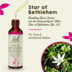 Original Bachblüten Bachblütentropfen-Bachblüten Nr. 29 Star of Bethlehem Tropfen, 20 ml