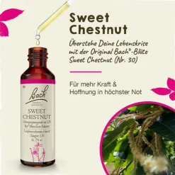 Original Bachblüten Bachblütentropfen-Bachblüten Nr. 30 Sweet Chestnut Tropfen, 20 ml