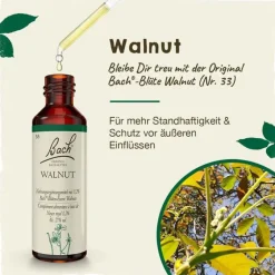 Original Bachblüten Bachblütentropfen-Bachblüten Nr. 33 Walnut Tropfen, 20 ml
