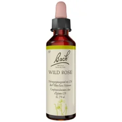 Original Bachblüten Bachblütentropfen-Bachblüten Nr. 37 Wild Rose Tropfen, 20 ml