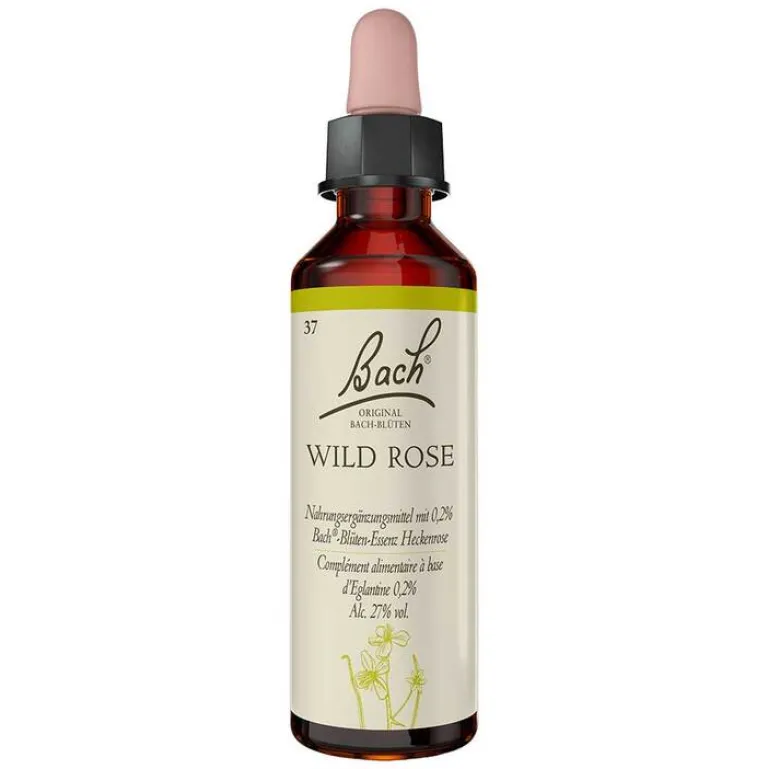 Original Bachblüten Bachblütentropfen-Bachblüten Nr. 37 Wild Rose Tropfen, 20 ml