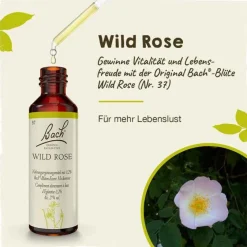 Original Bachblüten Bachblütentropfen-Bachblüten Nr. 37 Wild Rose Tropfen, 20 ml