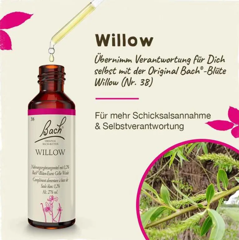 Original Bachblüten Bachblütentropfen-Bachblüten Nr. 38 Willow Tropfen, 20 ml