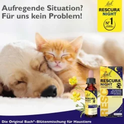 Rescura Bachblütentropfen|Bachblüten Für Tiere-Bachblüten Original Night Pets Tropfen alkoholfrei , 10 ml