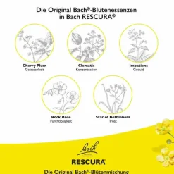 Kinder Rescura Bachblüten Für Kinder-Bachblüten Original Kids Tropfen Erdbeer alkoholfrei, 10 ml
