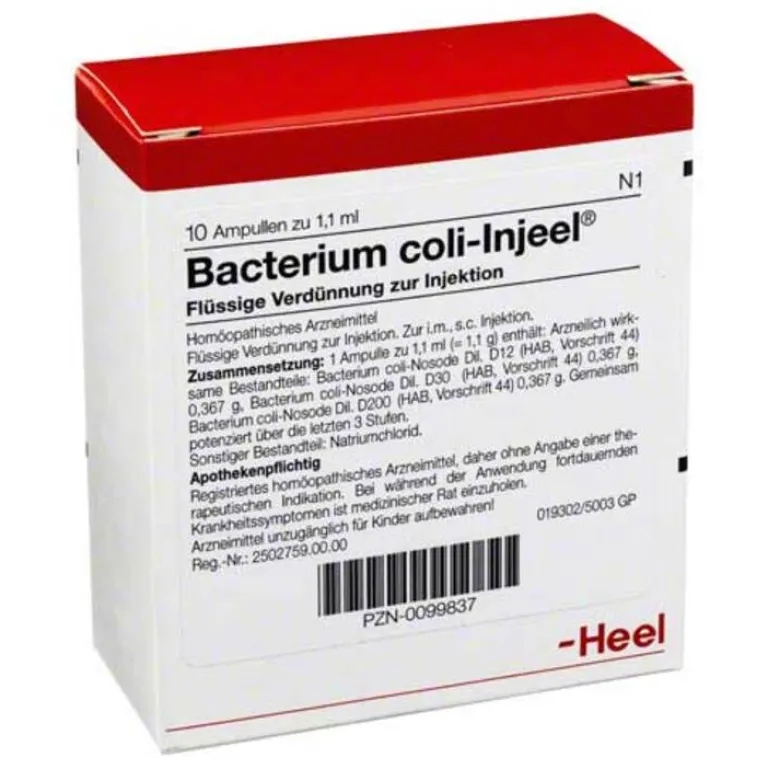 Injeel Heel-Bacterium coli Ampullen, 10 St