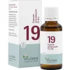 Pflüger Salze Als Tropfen|Salze 13-24-Biochemie 19 Cuprum arsenic.D 6 Tropfen, 30 ml