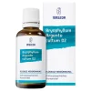 Weleda Schlaf & Nerven-Bryophyllum Argento Cultum D3, 50 ml