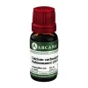 Arcana C-D|C-Calcium carbonicum LM 6 Hahnemanni Dilution, 10 ml