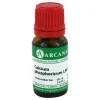 Arcana Calcium|C-Calcium phosphoricum LM 6 Dilution, 10 ml