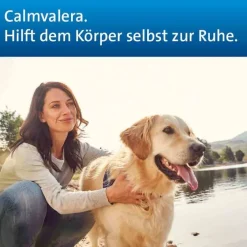 Calmvalera Hevert|Beruhigungsmittel-Tabletten, 50 St