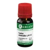 Arcana C-Carbo animalis LM 6 Dilution, 10 ml