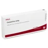 Auge & Ohr-Conjunctiva comp. Ampullen, 10X1 ml