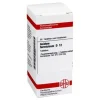 A-DHU Acidum formicicum D 12 Tabletten, 80 St