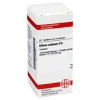 DHU A-Allium sativum D 6 Tabletten, 80 St
