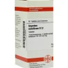 DHU A-Argentum metallicum D 12 Tabletten, 80 St