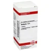 DHU B-Berberis D 4 Tabletten, 80 St