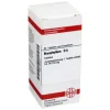 DHU B-Bryophyllum D 6 Tabletten, 80 St