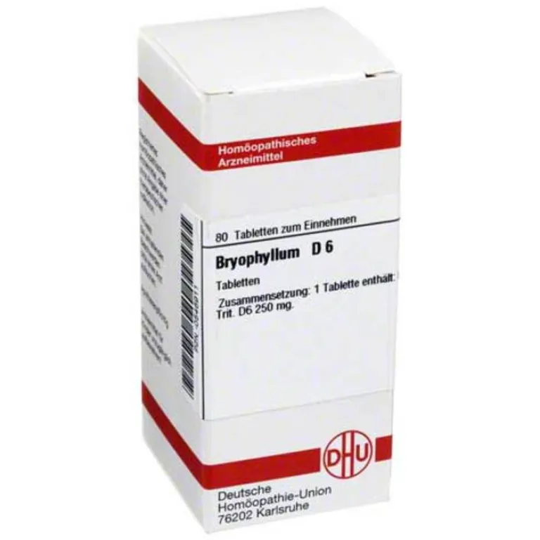 DHU B-Bryophyllum D 6 Tabletten, 80 St