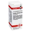 C-DHU Candida albicans D 30 Globuli, 10 g
