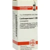 C|C-DHU Cardiospermum C 200 Globuli, 10 g