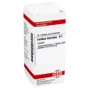 DHU C-Carduus marianus D 2 Tabletten, 80 St