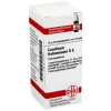 DHU C|C-Causticum Hahnemanni D 6 Globuli, 10 g