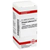 DHU C-Chininum sulfuricum D 4 Tabletten, 80 St