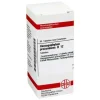 H-DHU Harpagophytum procumbens D 12 Tabletten, 80 St