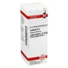 DHU L-Lachesis D 6 Dilution, 20 ml